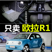 2019 Great Wall Euler R1 Foot Mat Full Surrounded Goddess Edition New Energy Euler R1 Electric Car Foot Pad