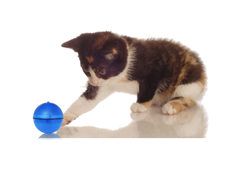 Pet đồ chơi bóng chó mèo LED laser vui mèo bóng flash cuộn vui vẻ cung cấp đuổi theo bắt bóng - Mèo / Chó Đồ chơi đồ chơi cho chó con ngứa răng