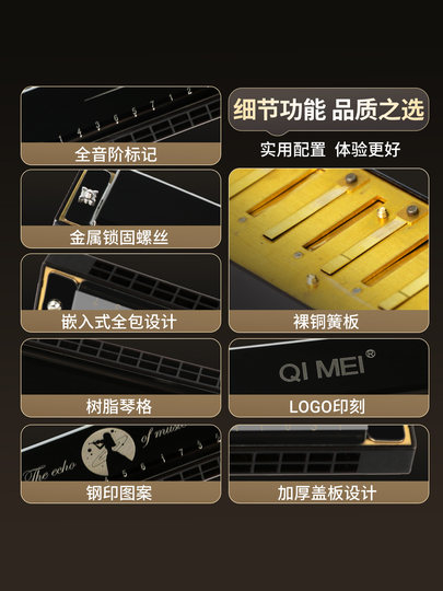Chimei Harmonica 24-Hole Polyphonic Heavy Tone Q8 Special Instrument for Primary School Students, Beginner's Entry-Level for Children and Adults Self-Study