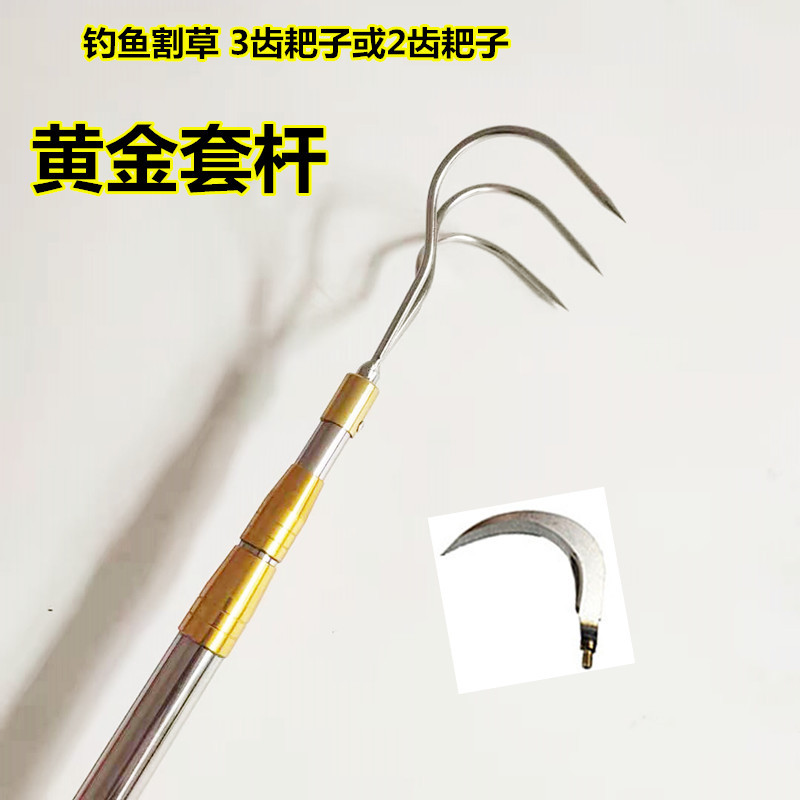 Stainless Steel Aquatic Plant Rake Rod, Thickened with 3 or 2 Prongs, Fishing Hook, Object Grabber with Sickle, Telescopic Rod, Net Pole