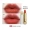 Mary Daijia Knight Little Gold Tube Lipstick Spring / Summer Màu mới Bộ son môi thương hiệu lớn chính hãng Mô hình thích hợp Li Jiaqi khuyên dùng - Son môi