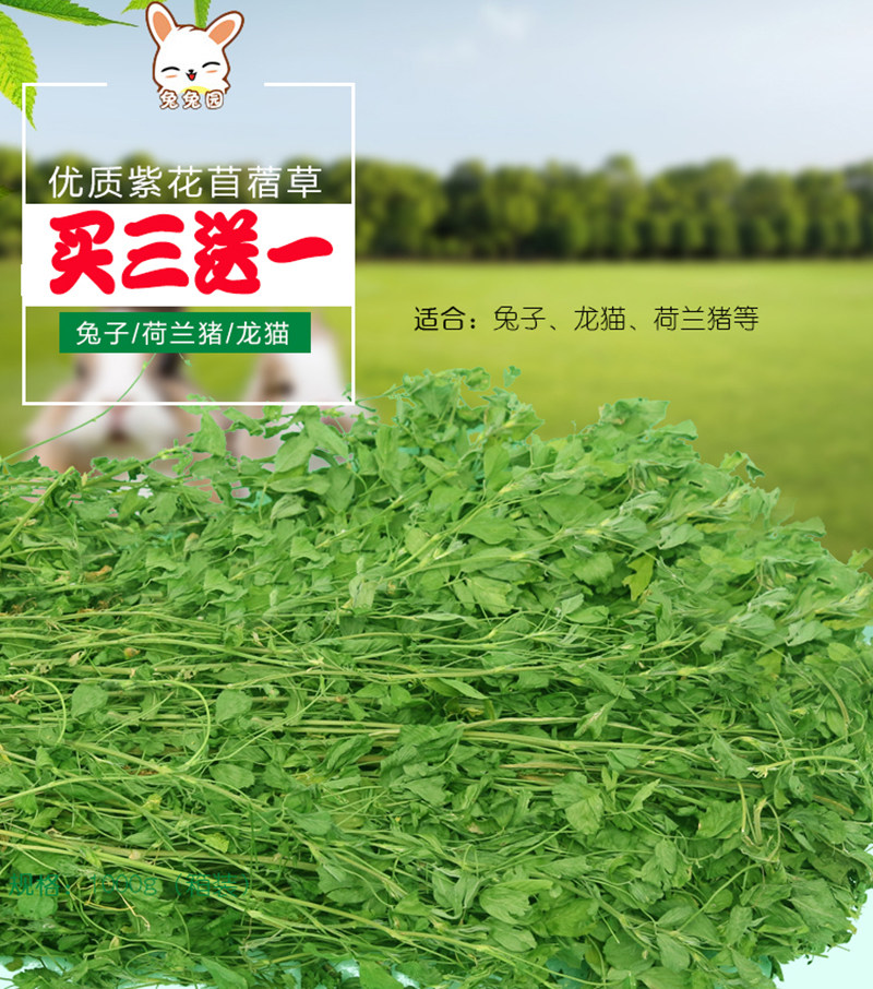 Alfalfa grass rabbit food rabbit hay food guinea pig chinchilla guinea pig grass feed ziplock bag 250g
