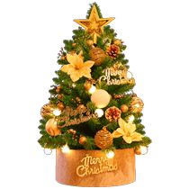 Tiangang New Mini Small Christmas Tree Home Package Christmas Decorations Gift Desktop Creative Ornaments