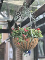 American country home wrought iron hanging hanging basket flower basket flower pot flower stand succulent plant chlorophyte