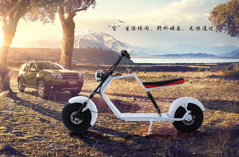 Xe điện Harley 60v hai bánh ắc quy xe C1 lốp lớn du lịch xe tay ga hai bánh rộng lốp xe đạp người lớn - Xe đạp điện giá xe đạp điện