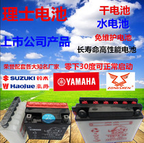 Leoch Motorcycle Battery 12N5 12N7 12N9 YTX5L-BS YTX7L-BS YTX7A-BS Battery