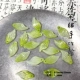 10 светло-зеленых перьевых листьев