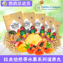 Lavber nourishing pellet parrot bird food and bird food feed small grain rafibel Lafeber tropical fruits