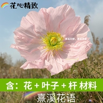 大型巨型手工DIY皱纹纸虞美人纸艺花材料包婚庆橱窗美陈家居装饰