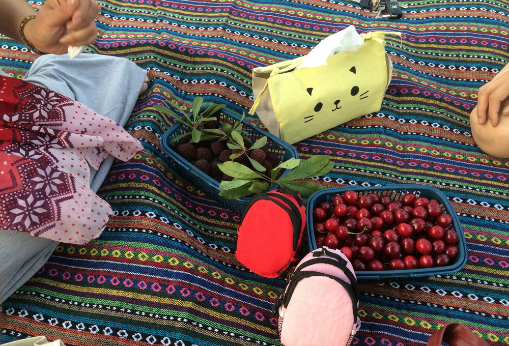 Полевые принадлежности