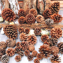 Anyang southern natural pine cones grocery decoration style accessories DIY accessories Natural pine cones Pine tower Christmas pine cones