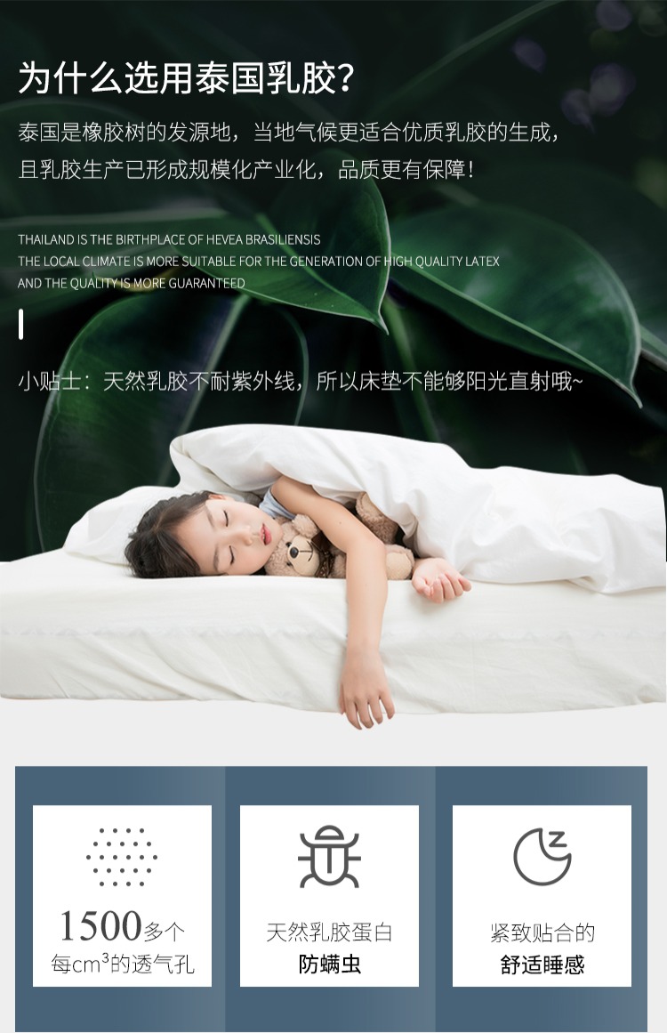 Nest thú combo đứng về phía ngủ cao su thiên nhiên xơ dừa nệm bảo vệ sườn núi mùa xuân nệm 1,8 m 1,5 m - Nệm nệm kim đan