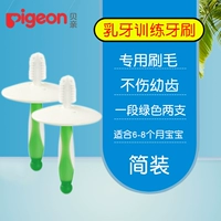 【Стадия 1】 2 Зеленые пакеты, подходящие в течение 6-8 месяцев (простой пакет)