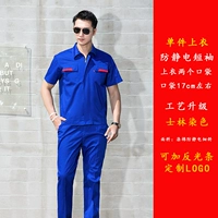 [Вверху] BDS-732 Платти синие антистатические короткие рукава