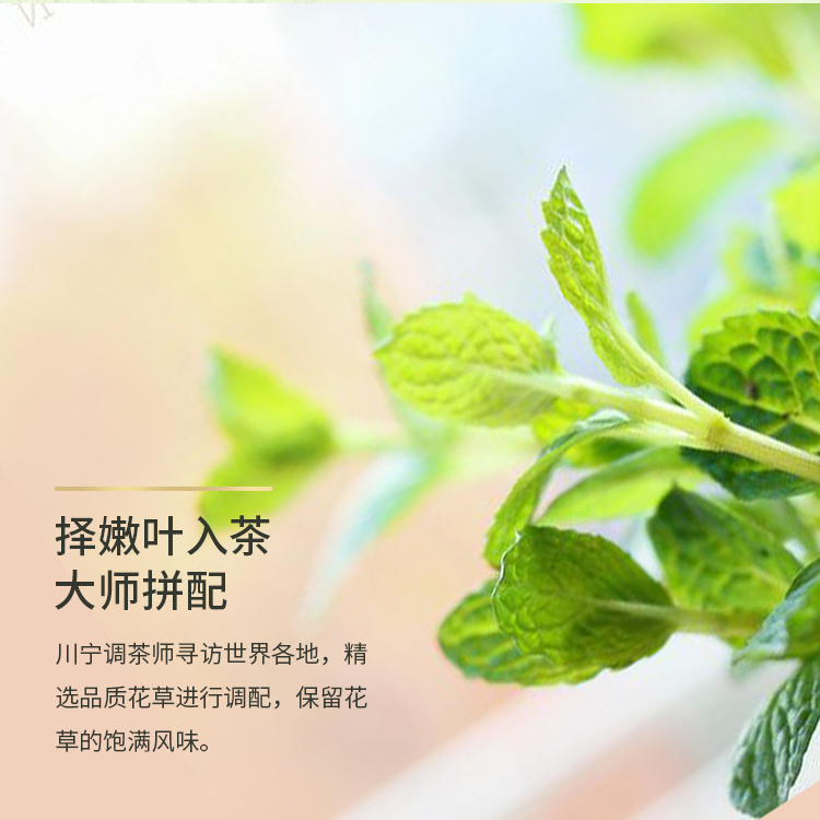 twinings英国进口薄荷茶叶