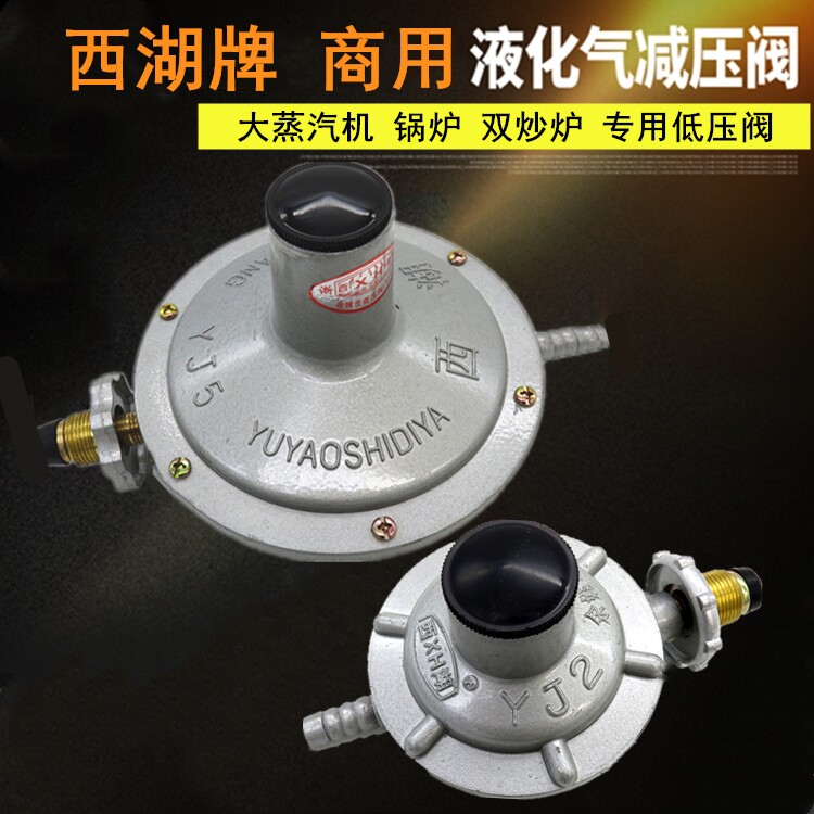 Xihu brand large flow liquefied gas pressure reducing valve industrial gas low pressure valve YJ5 cubic 2 cubic 1 2