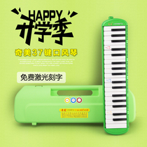Chimei Harmonica Organ 37 Key 32 Key Plastic Hollow Box Small Genie Children Beginners Student Musical Instruments Students