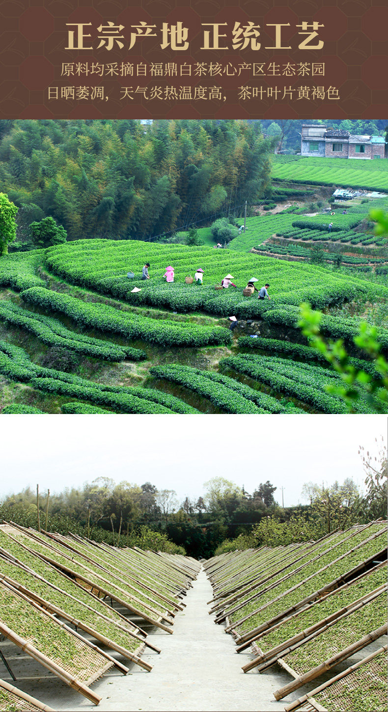 馥益堂 福鼎白茶 19年白露茶 85g*3袋 礼盒装 图10