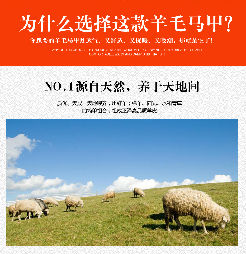 正泽 男士100%羊毛保暖马甲 皮毛一体设计 有女款 图4