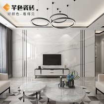 Rock plate TV background wall tile 800X2600 modern simple marble living room metal strip film wall