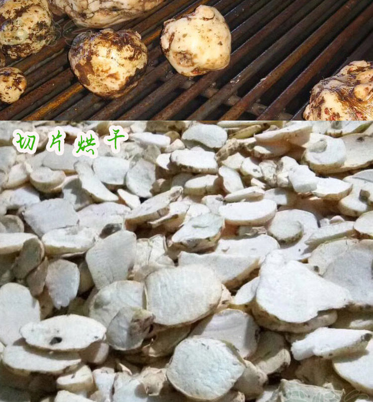 6 сумки волшебных траншей в национальном дне _04.jpg