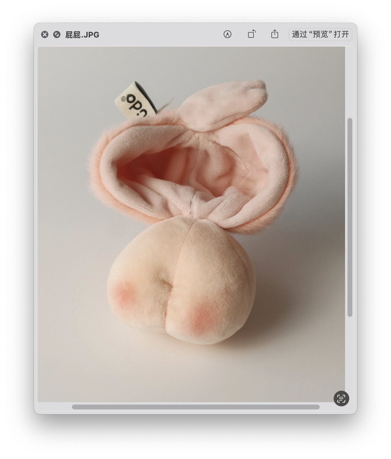 LUDO Peach & Sakura Bald Fruits Plush Keychain detail image