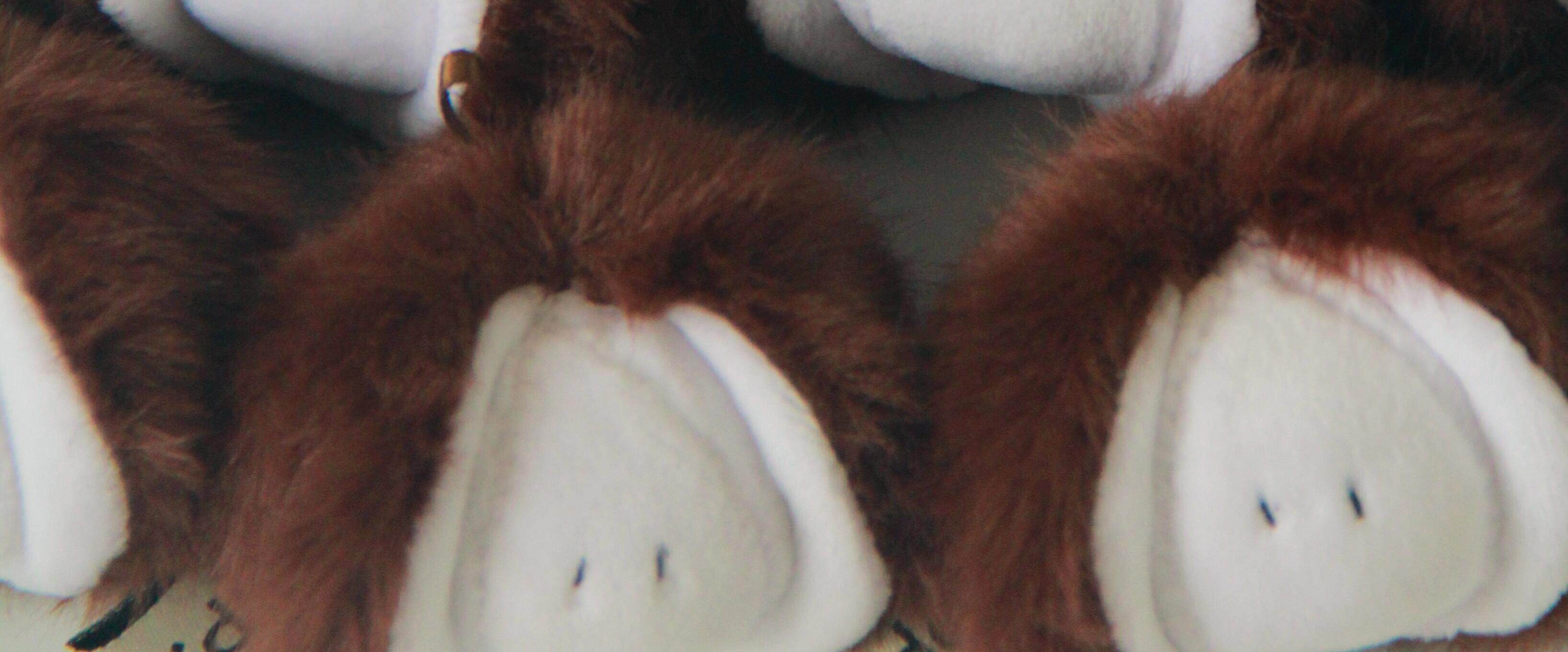 LUDO Bald Fruits Hairy Coconut Plush Keychain detail image