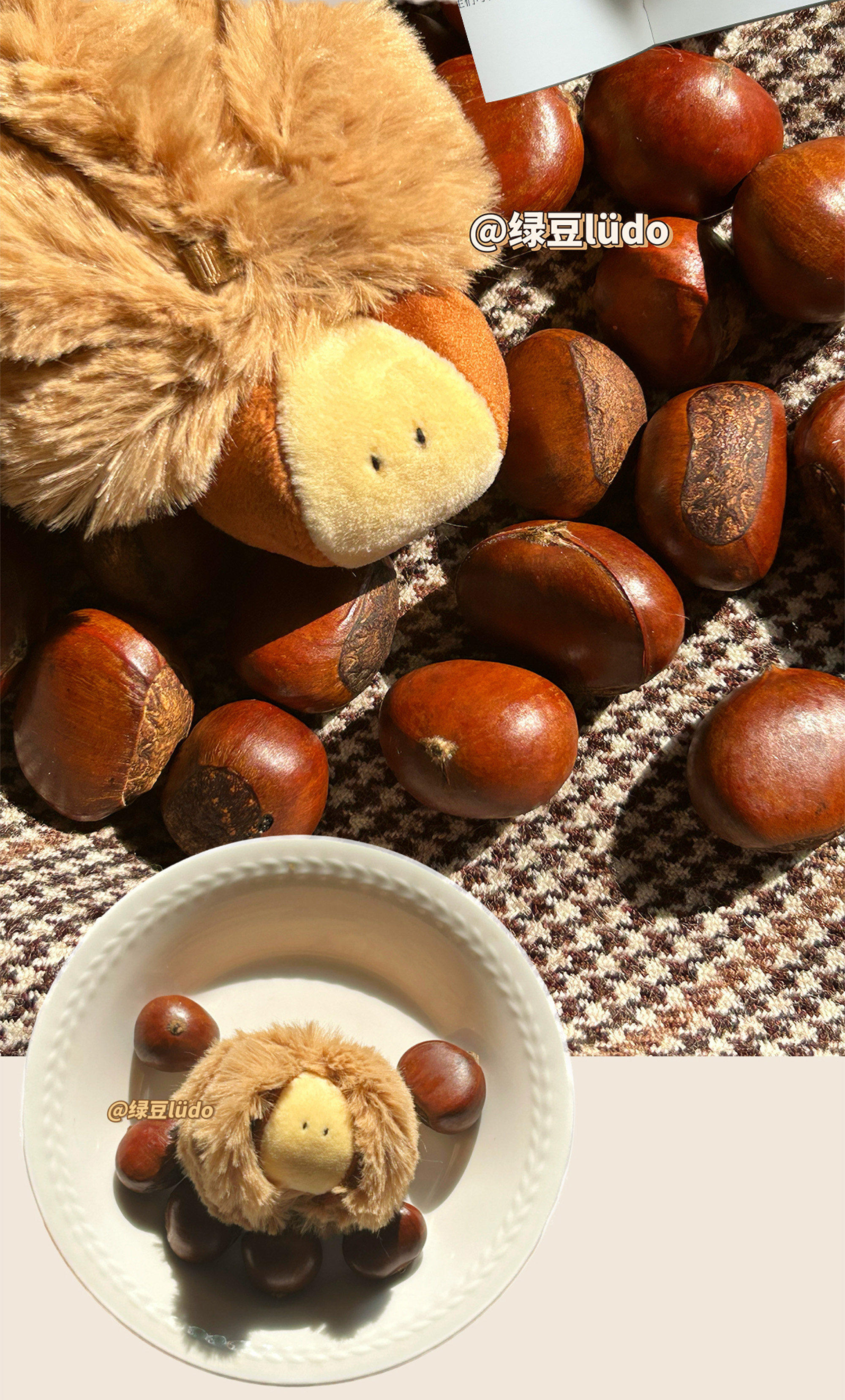 LUDO Bald Fruits Chestnut Plush Keychain detail image