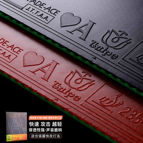 Tulpe Tulip Red Peach A Ping Tennis Tennis Gas против высокой пули против глюкновой дуги быстро -красавица управляющего типа