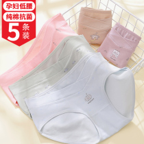 Pregnant women underwear cotton antibacterial early third trimester of pregnancy low waist pregnant women early pregnancy thin model