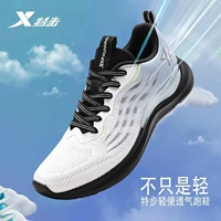 [Модель сетки] 0030 Парус Белый Вечерний Туман Синий