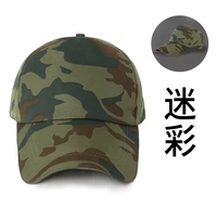 Кампания (железная пряжка)