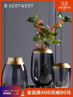 BEST WEST light luxury glass vase modern simple hydroponic transparent vase ornaments living room table creativity