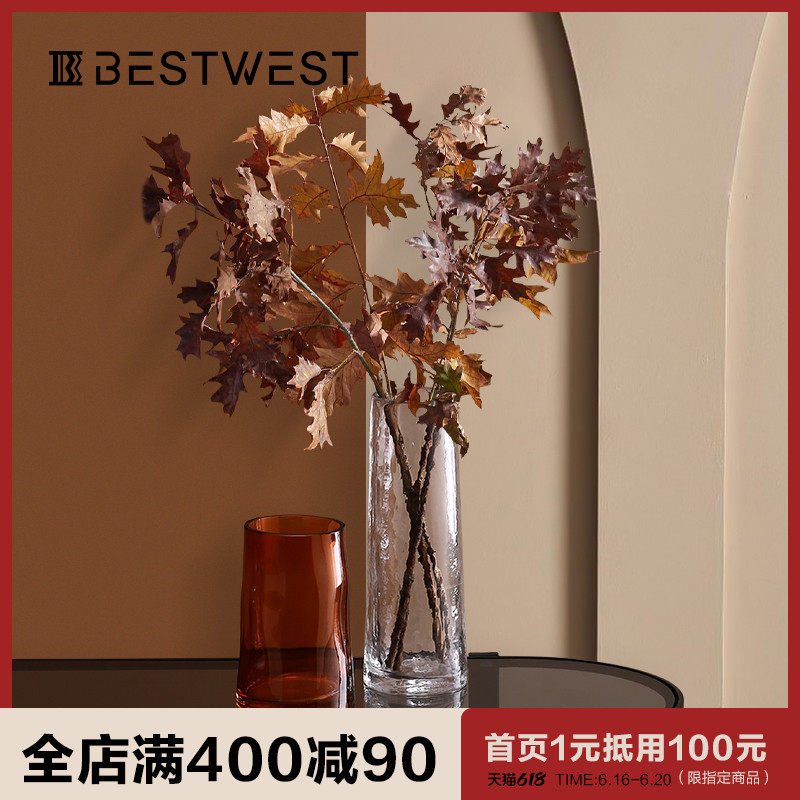 Best WEST irregular shape glass vase transparent ornaments modern simple living room hydroponic vase creativity