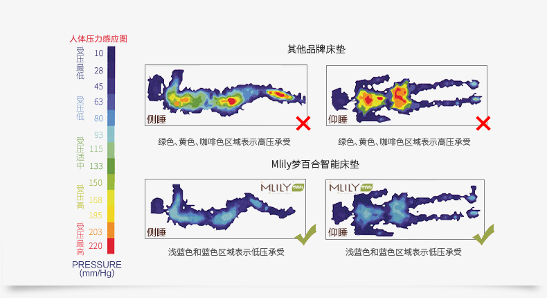 海洋之星厚垫_13.jpg