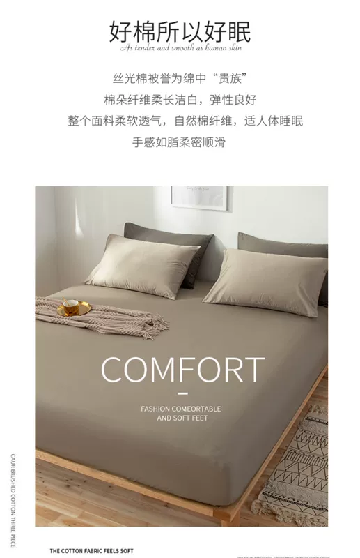 Giường cotton satin 笠 ba mảnh chống trượt cố định vỏ bảo vệ đệm màu nâu đệm mỏng nệm trải giường 1,8m trải giường gạo chống bụi - Trang bị Covers