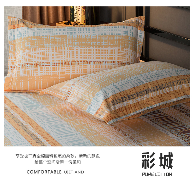 Chải gối bông một cặp gối bông dày nạp đơn ký túc xá gối bìa 48x74cm mùa đông - Gối trường hợp gối tựa lưng sofa gỗ