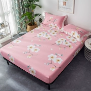 Giường cotton 笠 1,8m Cotton Simmons bảo vệ 1,5m giường đơn mảnh trải giường trải chiếu nệm nệm mùa đông