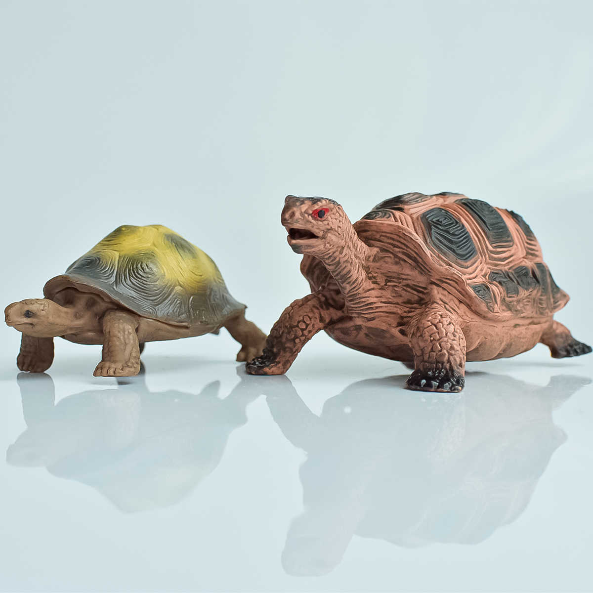 陆龟儿- Top 100件陆龟儿- 2025年12月更新- Taobao, image size:1200x1200