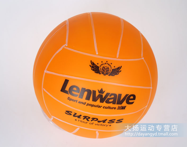 Ballon de volley - Ref 2007995 Image 21