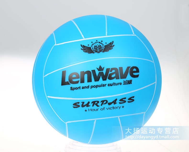 Ballon de volley - Ref 2007995 Image 17