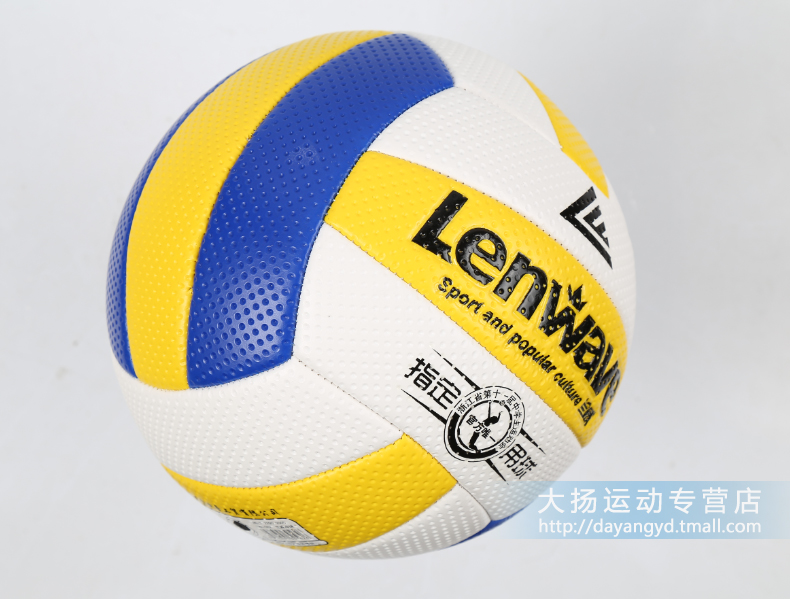 Ballon de volley - Ref 2009387 Image 12