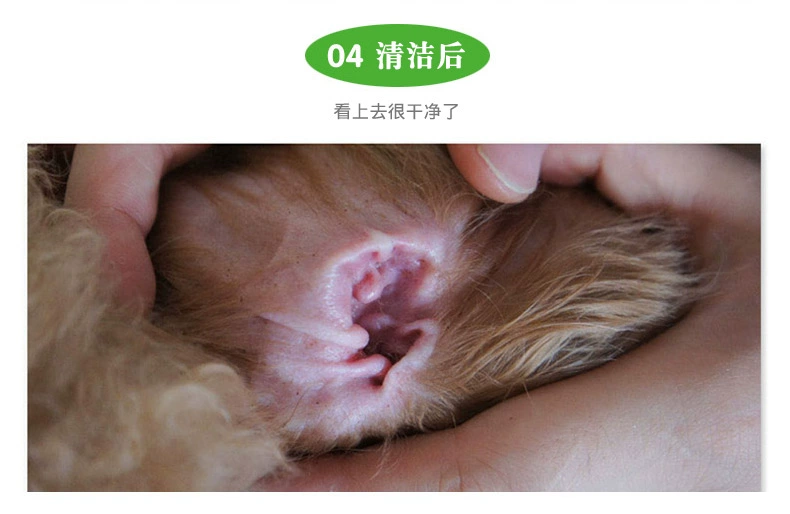 Làm sạch tai chó rửa tai giọt dầu tai làm sạch tai thú cưng viêm tai tai mèo nấm viêm tai - Cat / Dog Health bổ sung