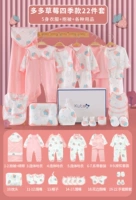 Розовая клубника на четыре сезона, комплект, подарочная коробка, 22 шт, подарок на день рождения