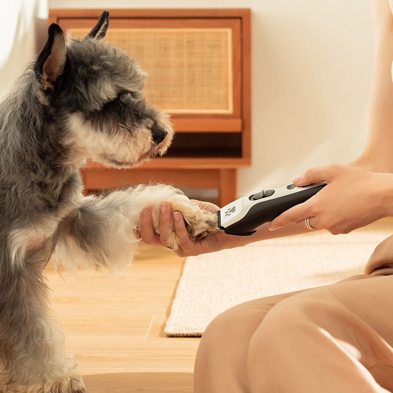 Smart sense professional pet shaver dog electric clipper cat hair push artifact large dog pet shop special fader