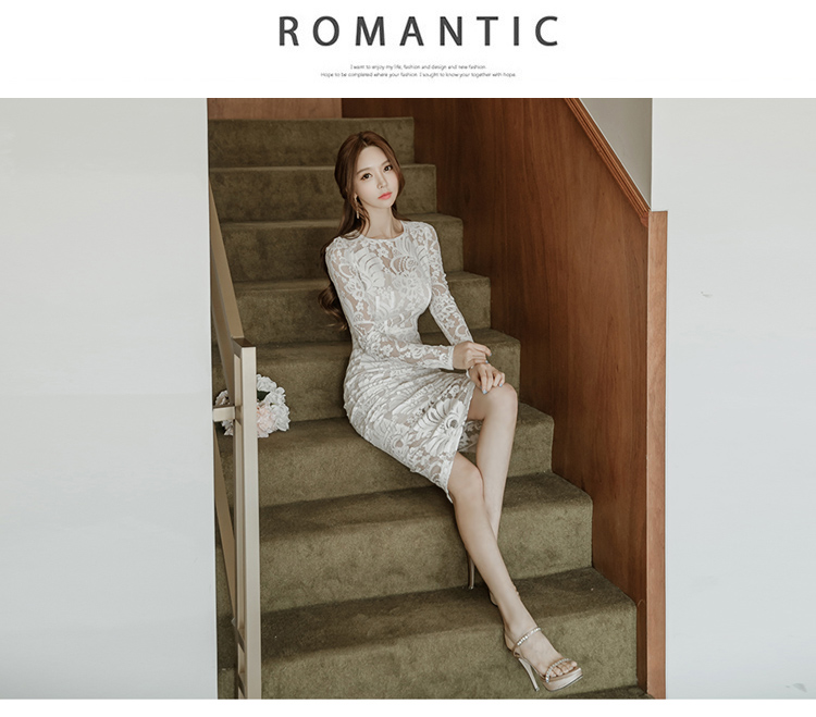 Lace Bodycon Dress Image 5