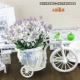 Синяя бутылка -тип автомобиль 4 белая лаванда