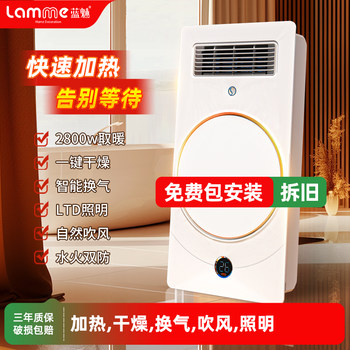 Dual-Wind Warm Air Bath Heater Lamp Integrated Ceiling Fan Ventilation Lighting Exhaust Fan All-In-One Bathroom Heater