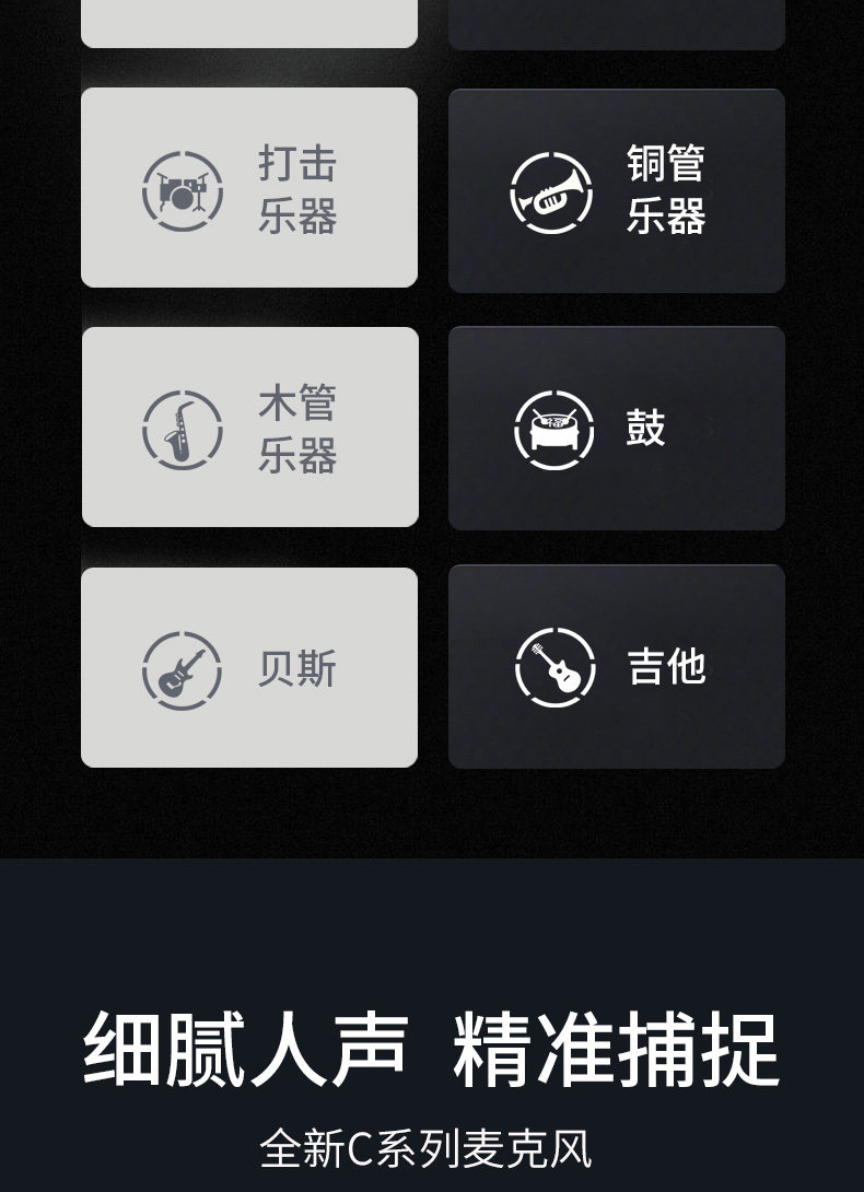 AKG爱科技C114大振膜电容麦克风 专业人声乐器配音有声书录音话筒