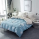 Chăn bông chăn đơn đặt mảnh mùa xuân bông 200x230 đơn đôi chăn che 180x220x240 - Quilt Covers chăn điều hòa